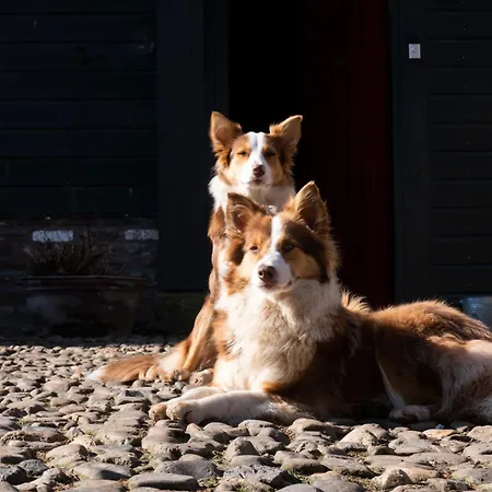 Meschermolen 12 شقة إيجسدين