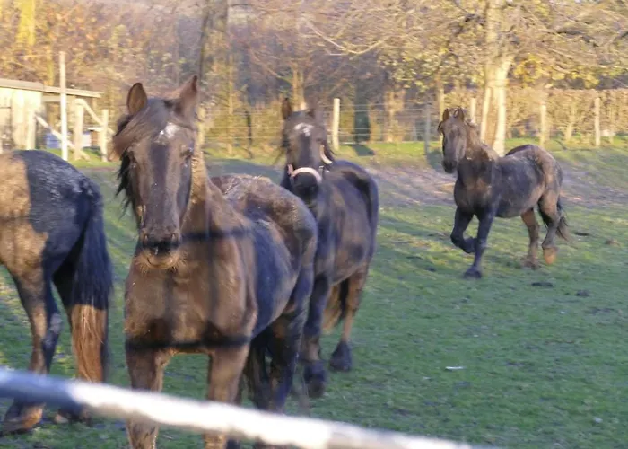 Апартаменты Meschermolen 12 Эйсден