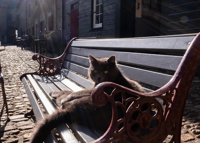 Meschermolen 12 * 爱斯登